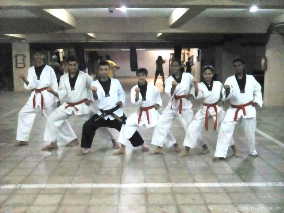 Phoenix Martial Arts Academy Photo 2
