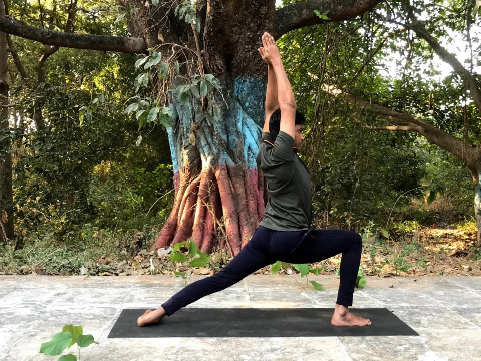 Premanand Yoga | Dadar East | Yoga Classes at Home | Yoga Teacher Training certification in Diploma Photo 3