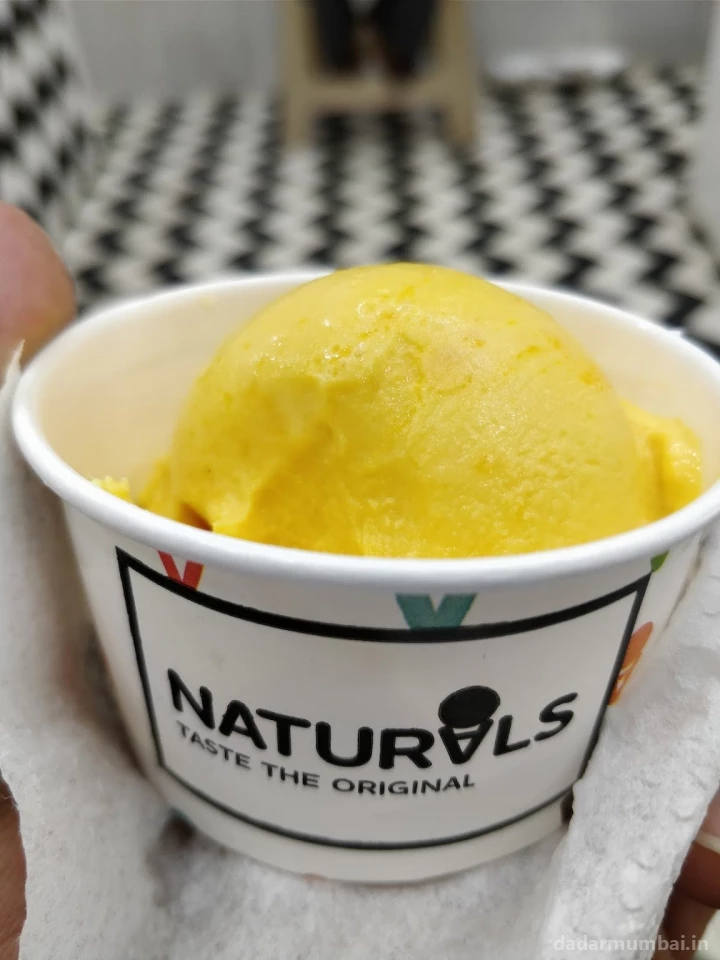 Natural Ice Cream Photo 2
