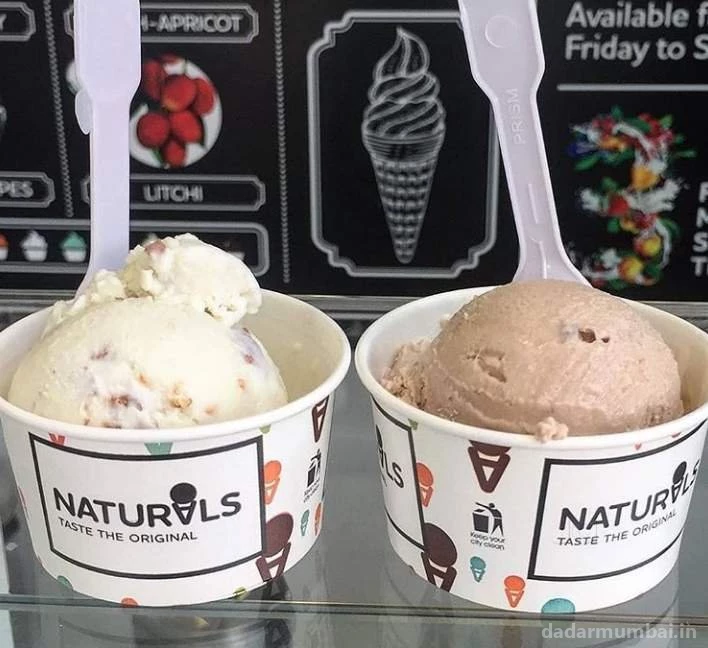 Natural Ice Cream Photo 7