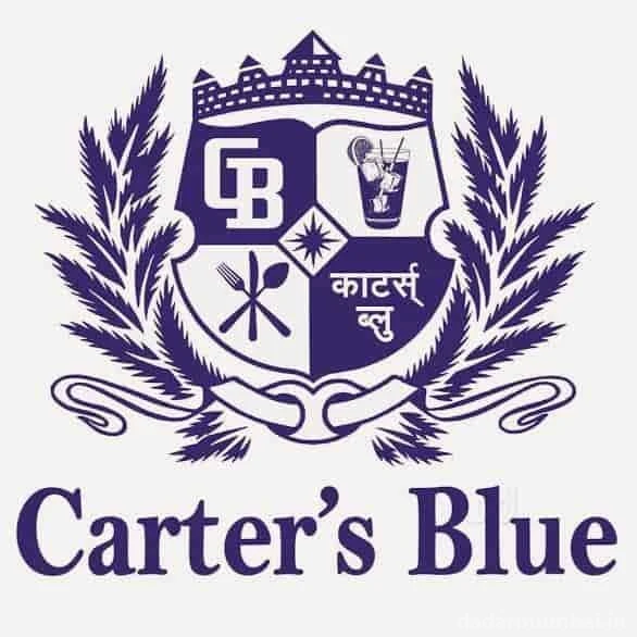Carter's Blue Photo 7