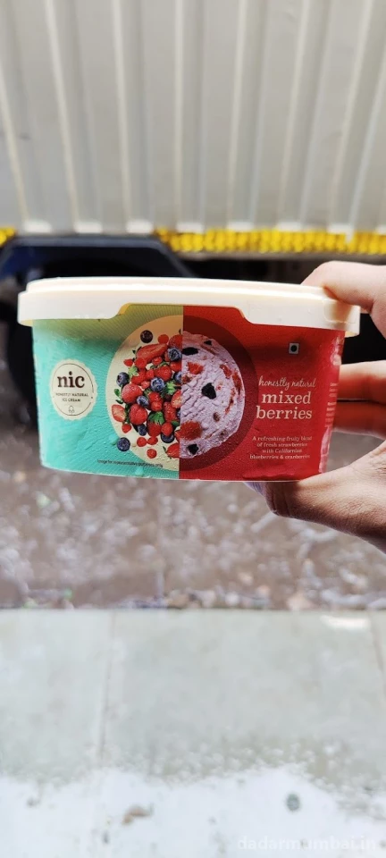 Nic Natural Ice Cream Photo 6