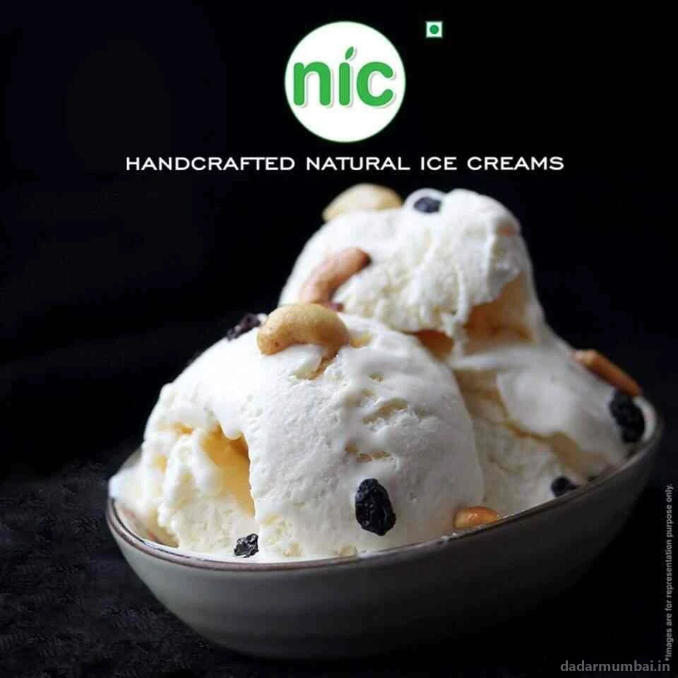 Nic Natural Ice Cream Photo 1