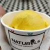 Natural Ice Cream Photo 2