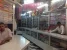 Pradeep Stores Photo 3