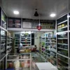 Park Medical Stores Ayurvedik Photo 2