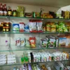 Patanjali Shop Photo 2