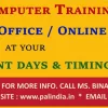 Palindia Computer Education Photo 2